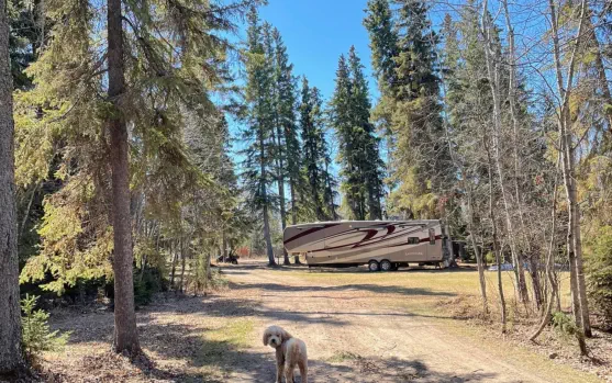 Dore Lake Michel Point Campground Amazing Fishing and Camping