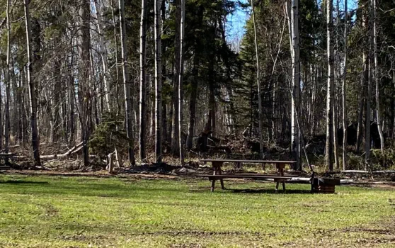 Dore Lake Michel Point Campground Amazing Fishing and Camping